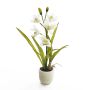 Cymbidium artificiel NALA, pot en terre cuite, crème, 50cm, Ø7-10cm