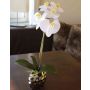 Orchidée Phalaenopsis artificielle EMILIA, pot en céramique, blanc, 45cm
