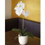 Orchidée artificielle Phalaenopsis EMILIA, pot en terre cuite, blanc, 50cm
