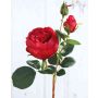 Rose-Chou artificielle MIRETTA, rouge, 60cm, Ø3-9cm