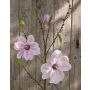 Branche de magnolia artificielle FINAH, rose, 90cm, Ø9-15cm