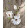 Branche de magnolia artificielle FINAH, blanc, 90cm, Ø9-15cm
