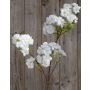 Branche de fleurs de cerisier artificielle MATSUDA, crème-blanc, 80cm
