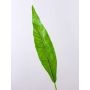 Feuille de fougère nid d'oiseau artificielle CESAR, vert, 95cm