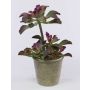 Echeveria artificiel SHAUNA en pot décoratif, vert-violet, 40cm