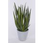 Aloès artificiel NAMIKA, dans un pot en béton, vert, 40cm, Ø20cm