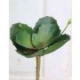 Kalanchoé artificiel STAMATIA sur piquet, vert, 20cm, Ø17cm