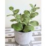 Menthe artificielle ALBUS, pot en béton, vert, 17cm