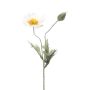 Coquelicot artificiel QUINTA, blanc, 40cm, Ø9cm