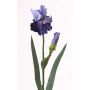 Iris artificiel ALYSSA, bleu, 70cm, Ø13cm