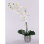 Phalaenopsis artificiel EMILIA, pot décoratif, blanc, 45cm, Ø8cm