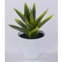 Aloe Vera artificiel ROSALINA, pot de céramique, vert, 21cm