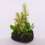 Arrangement de fausses succulentes BAMBI en motte, vert, 19cm