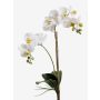 Orchidée Phalaenopsis en soie CANDIDA sur piquet, blanc, 65cm, Ø7-8cm