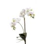 Orchidée Phalaenopsis en soie CANDIDA sur piquet, blanc, 65cm, Ø7-8cm