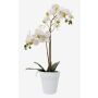 Orchidée Phalaenopsis en soie CANDIDA, pot en céramique, blanc, 65cm, Ø7-8cm