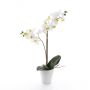 Orchidée Phalaenopsis en soie CANDIDA, pot en céramique, blanc, 65cm, Ø7-8cm