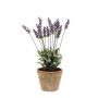 Lavande artificielle VALERIE, pot en terre cuite, lilas, 50cm, Ø2cm