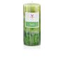 Bougie pilier ASTRID avec parfum, Fresh Apple, vert pomme, 13cm, Ø6,8cm, 60h