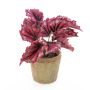 Bégonia rex artificiel BENICE, en pot en terre cuite, rouge, 20cm