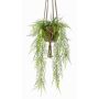 Panier suspendu SILIJA avec l'asparagus plumosus artificiel SILIJA, pot en terre cuite, 80cm