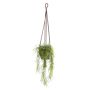 Panier suspendu SILIJA avec l'asparagus plumosus artificiel SILIJA, pot en terre cuite, 80cm