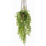 Suspension artificielle avec ficus pumila SILIJA, pot en terre cuite, vert, 80cm