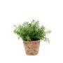 Asparagus sprengeri artificiel LUCANO, en pot en terre cuite, 20cm, Ø20cm