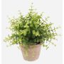 Eucalyptus artificiel LUCANO, en pot en terre cuite, vert, 20cm, Ø20cm