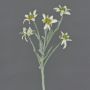 Edelweiss artificiel SOPHIA, blanc, 40cm, Ø5-6cm