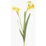 Narcisse artificiel NEELA, jaune, 50cm, Ø6cm
