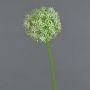 Fleur d'allium artificiel SAMARA, crème, 75cm, Ø12cm