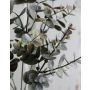 Eucalyptus artificiel LEONTINE sur piquet, vert-gris, 35cm