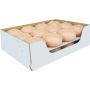 Lot de 24 bougies flottantes ORNELLA, pêche pastel, 2,8cm, Ø4,5cm, 4h