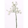 Fausse Pâquerette BELINA, blanc, 30cm, Ø1cm