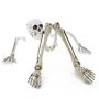 Décoration d'Halloween : morceaux de squelette ADALBERT avec 5 piquets, 19 cm, 45 cm, 66 cm