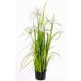Herbe étoilée artificielle TAIGA avec panicules, vert, 110cm