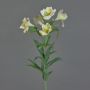 Alstroemeria artificiel AUBERTA, vert-blanc, 75cm, Ø6cm