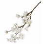 Fausse branche de fleurs de pommier LINDJA, blanc, 105cm