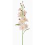 Fausse Dauphinelle RASMINE, rose-blanc, 60cm, Ø5-7cm