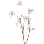 Fausse Gypsophile ASANA, rose, 65cm, Ø0,5cm