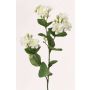 Tige de jasmin artificiel SINJA, blanc-vert, 60cm, Ø4cm
