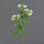 Tige de jasmin artificiel SINJA, blanc-vert, 60cm, Ø4cm