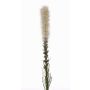 Plume du Kansas artificielle MITSA, crème, 80cm, Ø5cm
