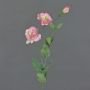 Lisianthus artificiel NOWA, rose, 80cm, Ø7cm