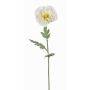Coquelicot artificiel BAHIRA, crème, 75cm, Ø12cm