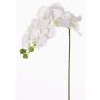 Tige d'orchidée artificielle GALINA, blanc, 60cm, Ø6-8cm
