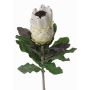 Protéa artificielle NELLI, blanc-jaune, 75cm, Ø8cm