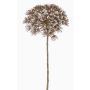 Berce artificielle ANSARI, brun, 80cm, Ø22cm