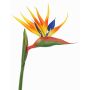 Strelitzia artificiel LATIFA, orange-violet, 90cm, 17x20cm